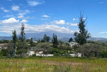 Terreno Comercial en  Hacienda Napoles, Via A Napoles, Puembo, Ecuador