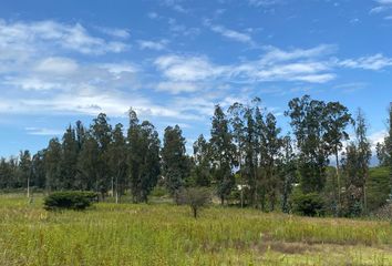 Terreno Residencial en  Hacienda Napoles, Via A Napoles, Puembo, Ecuador