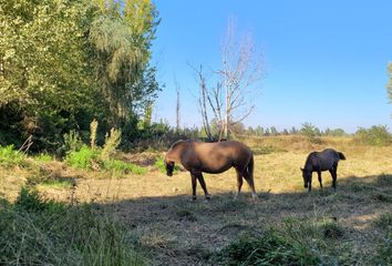 Parcela en  Coltauco, Chile