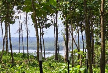 Lotes y Terrenos en  Green Dream - Los Tinajones, Las Mendozas, Panama, Panamá