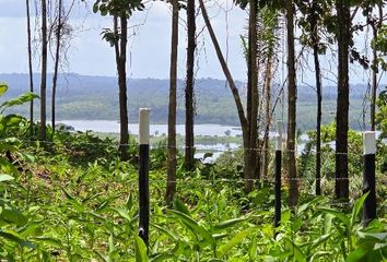 Lotes y Terrenos en  Green Dream Pty, Las Mendozas, Panama, Las Mendozas, Panama, Panamá