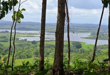 Lotes y Terrenos en  Green Dream - Los Tinajones, Las Mendozas, Panama, Panamá