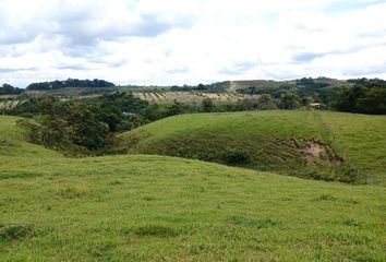 Lote de Terreno en  San Antonio, Circasia, Quindio, Col