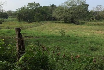 Lote de Terreno en  Calle Santa Cecilia, Santa Ana, Paso Del Toro, Medellín De Bravo, Veracruz De Ignacio De La Llave, 94277, Mex