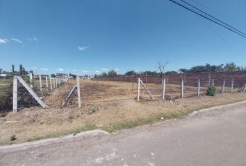 Terreno Comercial en  Tumbaco, Quito