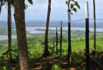 Lotes y Terrenos en  Green Dream Pty, Las Mendozas, Panama, Las Mendozas, Panama, Panamá