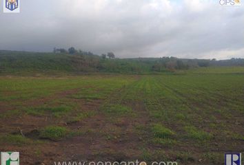 Lote de Terreno en  63504, Tepic, Nayarit, Mex