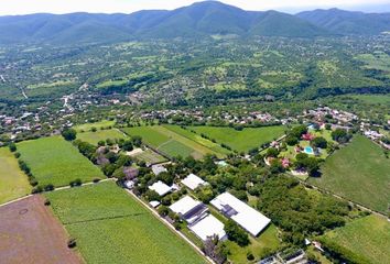 Lote de Terreno en  Campo Chamilpa, Diego Ruiz, Morelos, México