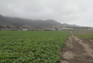 Terreno en  Panamericana Norte, Chancayllo, Perú