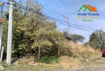 Lote de Terreno en  Carretera San Gregorio - Oaxtepec, Corral Grande Oaxtepec, Altos Oaxtepec, Yautepec, Morelos, 62738, Mex