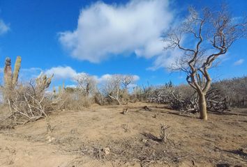 Lote de Terreno en  Los Cabos, Baja California Sur, Mex