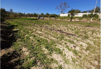 Terreno Comercial en  Puembo, Quito