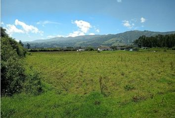 Terreno Comercial en  Tababela, Quito