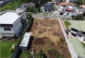 Terreno Comercial en  Sangolquí, Rumiñahui