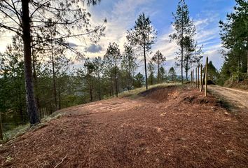 Lote de Terreno en  Batea Seca, Guarne, Antioquia, Col