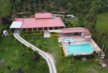 Villa-Quinta en  Pitalito - Palestina, Palestina, Huila, Colombia