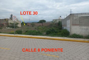 Lote de Terreno en  Calle 8 P 994-1026, La Purísima, Santiago Miahuatlán, Puebla, 75820, Mex