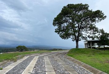 Lote de Terreno en  Punta Bosque Residencial, Ejido Santa Cruz Del Astillero, El Arenal, Jalisco, México