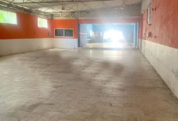 Local comercial en  Pallas, Carmen, Campeche