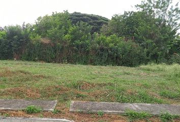 Lote de Terreno en  Rozo, Palmira