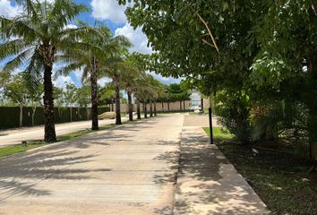 Lote de Terreno en  Cholul, Mérida, Yucatán, Mex