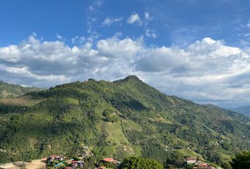 Lote de Terreno en  Alto Tablazo, Manizales