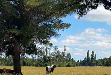 Parcela en  V-125, Frutillar, Llanquihue, Los Lagos, 5550000, Chl