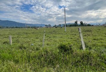 Lote de Terreno en  417038, Pitalito, Huila, Col