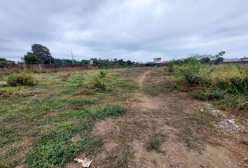 Terreno Comercial en  Monumento A La Piña, Milagro, Ecuador