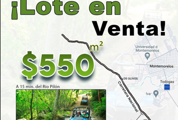 Lote de Terreno en  Montemorelos Centro, Montemorelos