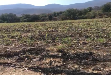 Lote de Terreno en  Fraccionamiento Ticuman, Tlaltizapán De Zapata