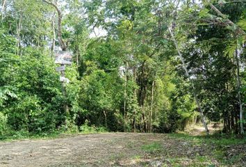 Lote de Terreno en  Héroe De Nacozari, Quintana Roo, México