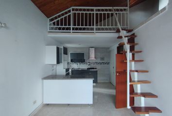 Apartment for rent in Centro, Pereira