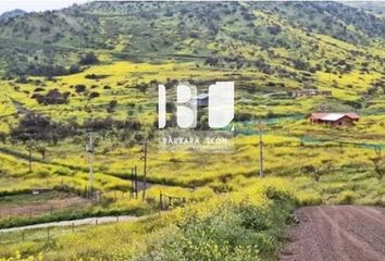 Parcela en  Colina, Chacabuco