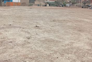 Terreno en  Puente Piedra, Lima