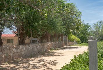 Lote de Terreno en  Calle Eucalipto, Los Tamarindos, Brisas De Zicatela, Santa María Colotepec, Oaxaca, 70934, Mex