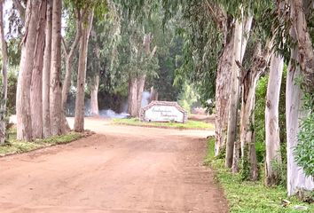 Terreno en  San Fernando, Pachacamac, Lima, Perú