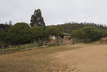 Parcela en  Casablanca, Valparaíso