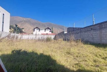 Terreno Comercial en  Urbanización La Pampa, Quito, Ecuador