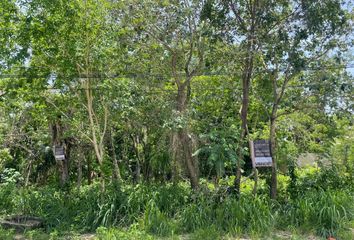 Lote de Terreno en  Calle Kin, Ejidal, Playa Del Carmen, Quintana Roo, México