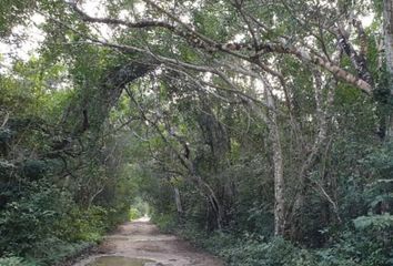 Lote de Terreno en  Chemuyil, Tulum