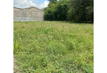 Lote de Terreno en  Panadería Las Mercedes, Carrera 27 58, Las Mercedes, Palmira, Valle Del Cauca, Col