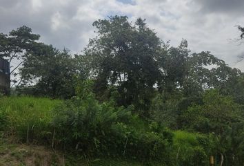 Terreno Comercial en  Quinindé, Ecuador