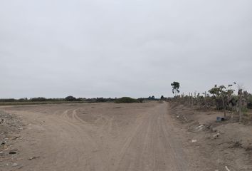 Terreno en  A.h Pachinga, Pisco, Perú