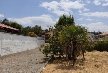 Terreno Comercial en  La Pampa, Quito, Ecuador