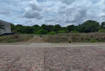 Lote de Terreno en  Punta Tiburón, Alvarado, Veracruz