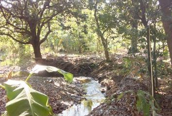 Lote de Terreno en  Coatlán Del Río, Morelos, México