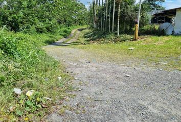 Hacienda-Quinta en  Wmw4+hf La Concordia, Ecuador