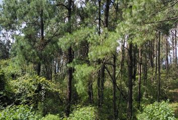 Lote de Terreno en  Atécuaro, Michoacán, México