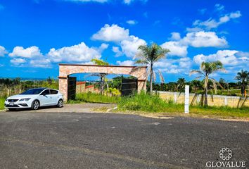 Lote de Terreno en  El Lencero, Municipio De Emiliano Zapata (veracruz)